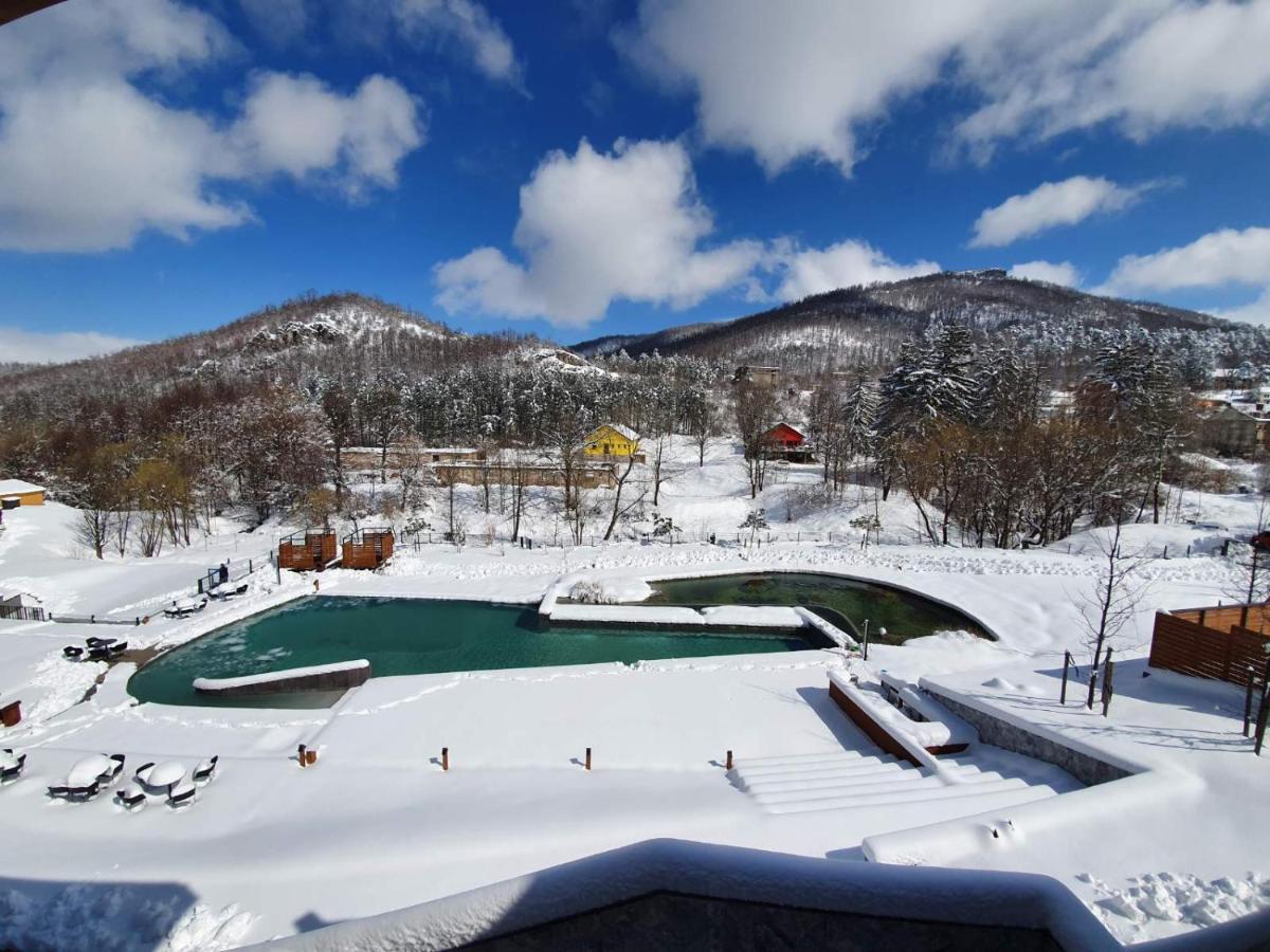 Hotel Ramonda Boljevac Bagian luar foto